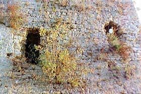 aghin11.jpg (17388 byte)