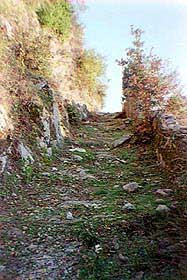 aghin6.jpg (15728 byte)