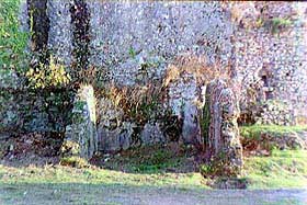 aghin8.jpg (17762 byte)