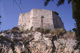 aldo3.jpg (16834 byte)