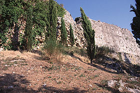 aldo4.jpg (15605 byte)