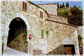 aldo7.jpg (15203 byte)