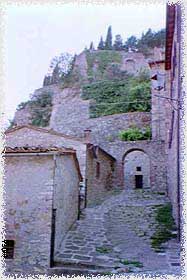 aldo8.jpg (11961 byte)