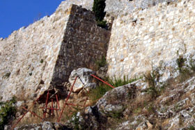 aldo3.jpg (16834 byte)