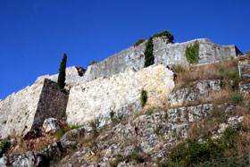 aldo3.jpg (16834 byte)