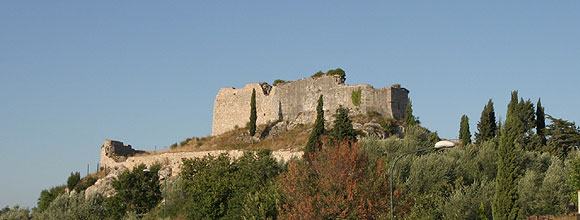 aldo3.jpg (16834 byte)