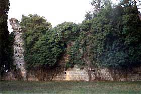 c_bosco1.jpg (10978 byte)