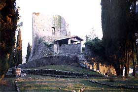 c_bosco2.jpg (10476 byte)