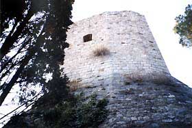 c_bosco3.jpg (12780 byte)