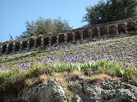 brolio4.jpg (14944 byte)