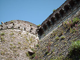 brolio4.jpg (14944 byte)