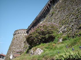 brolio4.jpg (14944 byte)