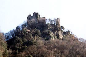 cerbaia1.jpg (11497 byte)