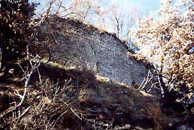 cerbaia3.jpg (17551 byte)