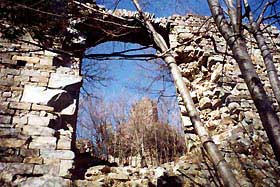 cerbaia4.jpg (19245 byte)