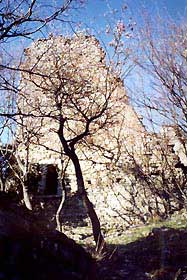 cerbaia5.jpg (17623 byte)