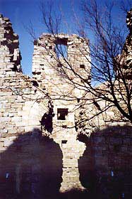 cerbaia7.jpg (15048 byte)