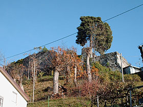 foto2.jpg (29223 byte)