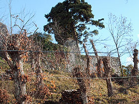 Fortress Walls
