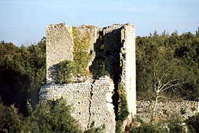 cvecchio1.jpg (13539 byte)