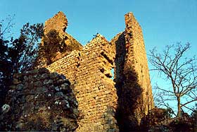 cvecchio2.jpg (15416 byte)