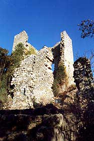 cvecchio3.jpg (13695 byte)