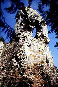 fazio1.jpg (18421 byte)