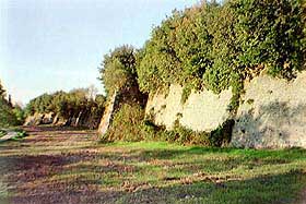 for_imp1.jpg (15150 byte)