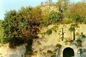 for_imp2.jpg (16562 byte)