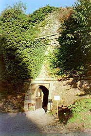 for_imp4.jpg (17121 byte)