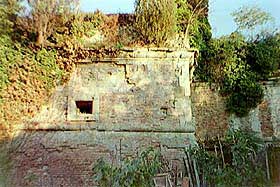 for_imp5.jpg (17318 byte)