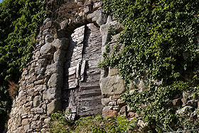 gressa2.jpg (30722 byte)