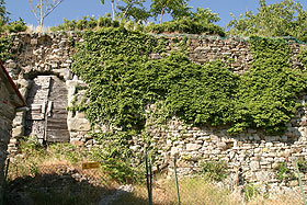 gressa1.jpg (22719 byte)