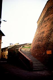 lari1.jpg (11252 byte)