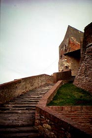 lari2.jpg (12281 byte)