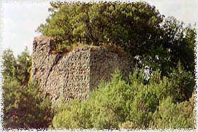 leo1.jpg (16122 byte)