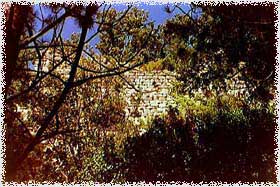 leo2.jpg (18991 byte)