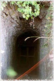 leo4.jpg (13643 byte)