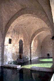 massa_m1.jpg (14154 byte)