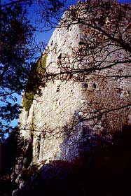 mgrossi3.jpg (15392 byte)