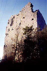 mgrossi6.jpg (12039 byte)