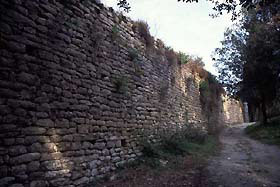 monsum1.jpg (16470 byte)