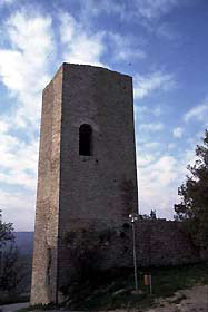 monsum2.jpg (11414 byte)