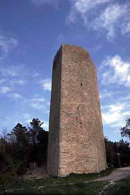 monsum4.jpg (11717 byte)