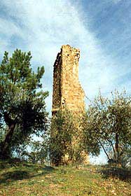 pogni1.jpg (13892 byte)