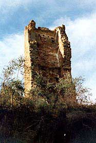 pogni2.jpg (10563 byte)