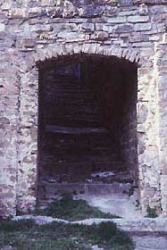 poppi11.jpg (12133 byte)