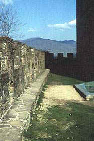 poppi4.jpg (9408 byte)