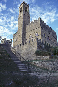 poppi3.jpg (7828 byte)