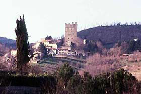 porc01.jpg (14330 byte)